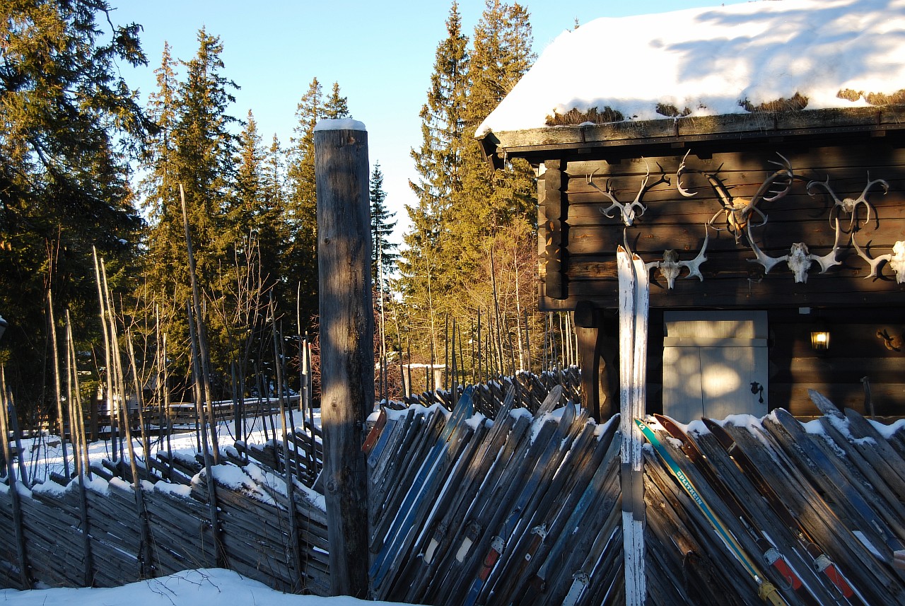 Забор из старых лыж