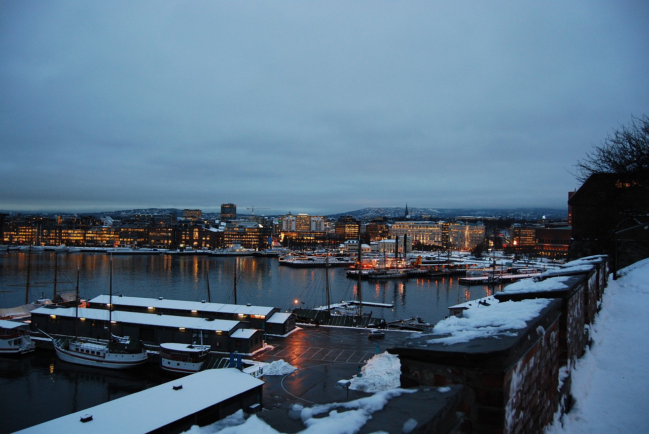 Вид на Осло из замка