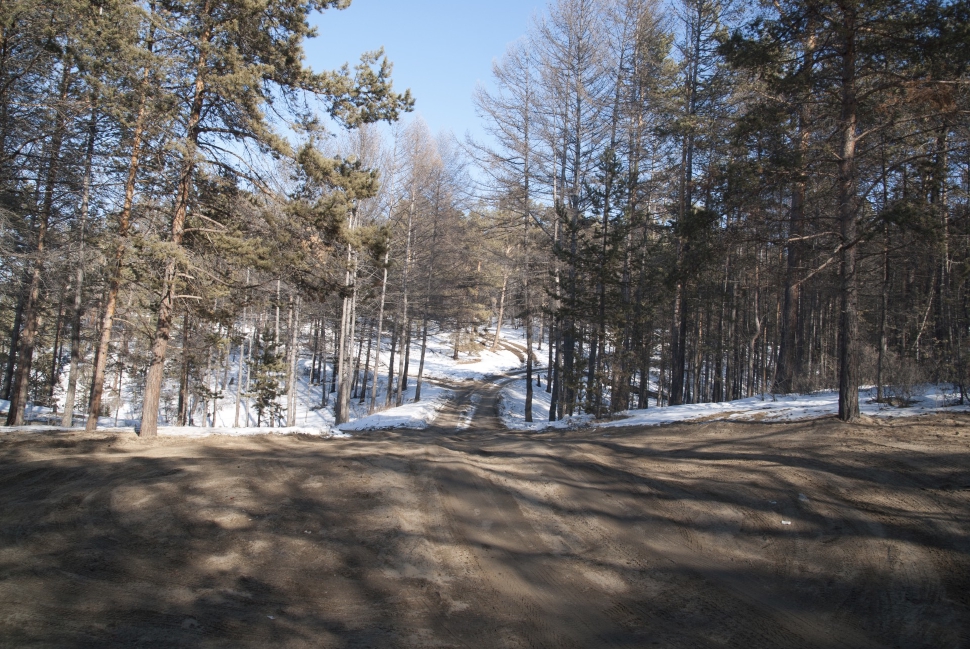 Дорога