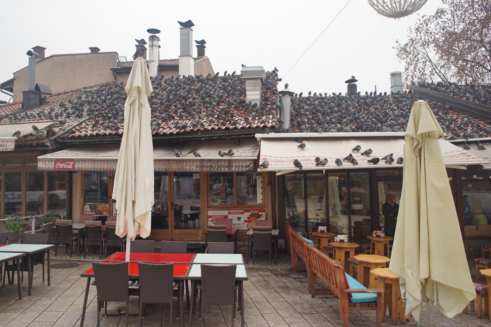 Pigeons on the roof of a bistro in Sarajevo