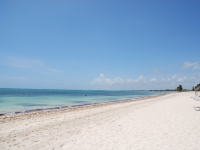 Summer 2008 (Cuba). Dreadful beach and sea in Santa Lucia