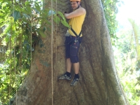 Thailand, Indonesia, Singapore (winter 2010). Me again, now on a tree