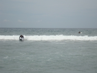 Thailand, Indonesia, Singapore (winter 2010). I'm learning to surf
