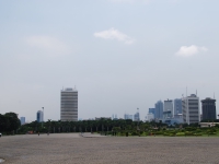 Thailand, Indonesia, Singapore (winter 2010). Jakarta