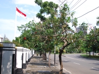 Thailand, Indonesia, Singapore (winter 2010). Flag of Indonesia