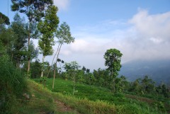 Climbing Mount Merapi