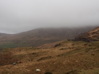 Ireland, March 2015. Fog