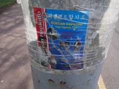 Advertisement for the local hapkido club
