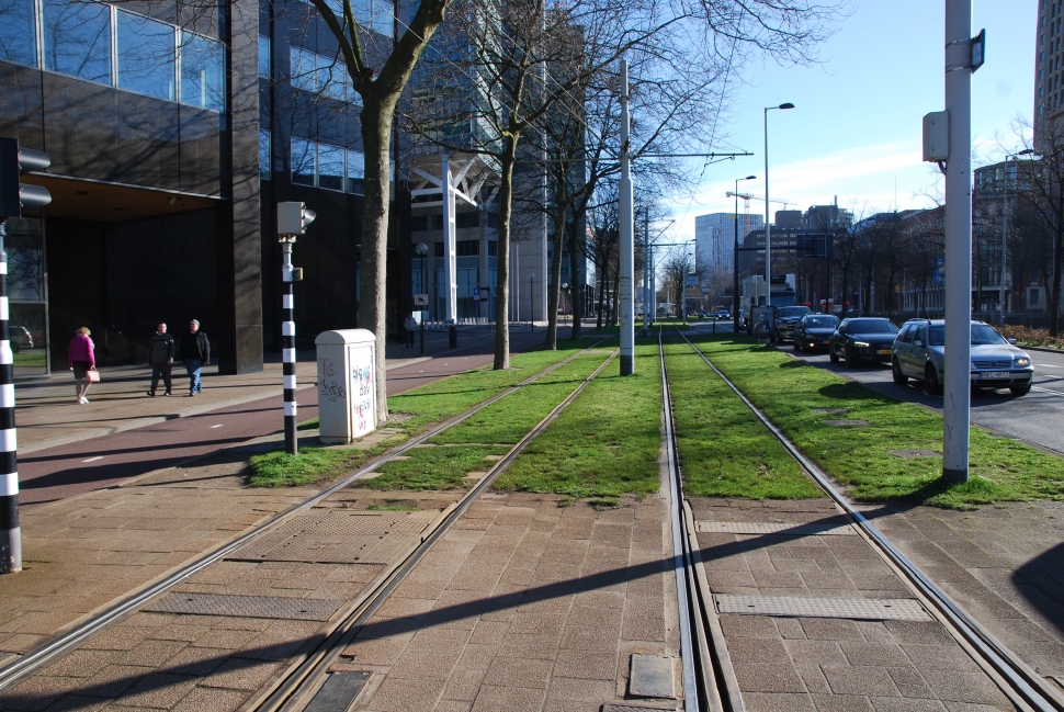 Green streetcar tracks