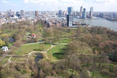 View of Rotterdam from the Euromast