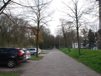 March 2017. Berlin — Rotterdam — Düsseldorf. Pathway