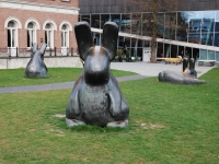 March 2017. Berlin — Rotterdam — Düsseldorf. Hares at the Kunsthal, a museum of modern art in Rotterdam.