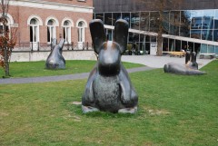 Hares at the Kunsthal, a museum of modern art in Rotterdam.