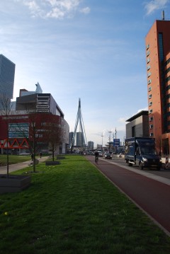 View of the Erasmus Bridge aka Erasmusbrug