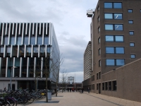 March 2017. Berlin — Rotterdam — Düsseldorf. Rotterdam, Erasmus University