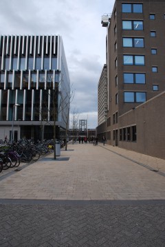 Rotterdam, Erasmus University
