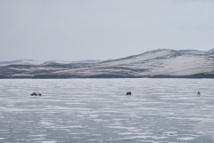 Traffic on Baikal ice