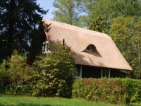 Berlin, Lübbenau, Potsdam. May 2018. Thatched roof