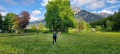 Olchun tramples the grass in a clearing in Mittenwald