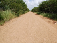 Summer 2008 (Cuba). Road with hoofprints in the distance
