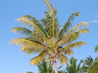 Summer 2008 (Cuba). Santa Lucia