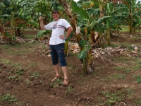 Summer 2008 (Cuba). Didn't know bananas grew in such large stacks