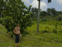 Лето 2008 (Куба). И еще раз я возле автописты