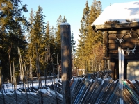Новый год 2008 (Норвегия, Швеция, Дания). забор из старых лыж