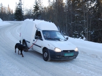 Новый год 2008 (Норвегия, Швеция, Дания). Дядька выгуливает собаку