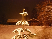 Новый год 2008 (Норвегия, Швеция, Дания). Ёлочка