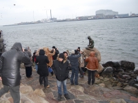 Новый год 2008 (Норвегия, Швеция, Дания). Стадо