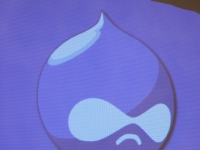 Первый Россиийский семинар по CMS Drupal. Друпликон и моя тень