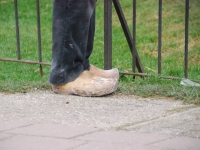 Новый Год 2009 (Амстердам). типичная обувь без голландца