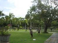 Thailand, Indonesia, Singapore (winter 2010). Badminton players