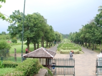 Тайланд, Индонезия, Сингапур (зима 2010). Боробудур