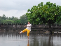 Thailand, Indonesia, Singapore (winter 2010). Me and a tree in Prambanan