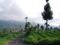Thailand, Indonesia, Singapore (winter 2010). Climbing Mount Merapi