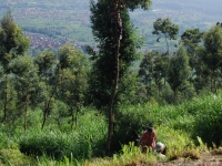Thailand, Indonesia, Singapore (winter 2010). Climbing Mount Merapi