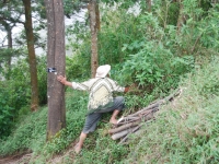 Тайланд, Индонезия, Сингапур (зима 2010). Местный ходок