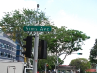 Thailand, Indonesia, Singapore (winter 2010). The Sims!
