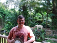 Тайланд, Индонезия, Сингапур (зима 2010). В Сингапурском зоопарке. Я и белый тигр :)
