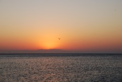 Вид на море, восход солнца
