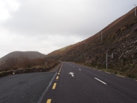 Ireland, March 2015. Road