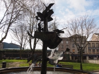 Ирландия, март 2015. Лебеди