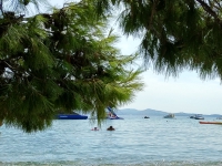 Croatia, Mlini 2017. Under the tree