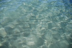 Вода