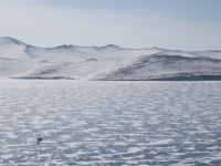 Baikal, Olkhon island, Хужир. March 2018. Traffic on Baikal ice
