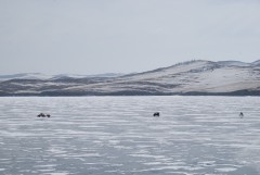 Traffic on Baikal ice