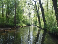 Berlin, Lübbenau, Potsdam. May 2018. Canal in Lede