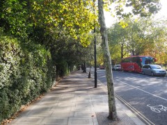 The road